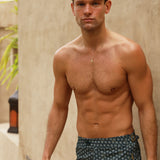 Pinnacle Tailored Meridian Swim Shorts